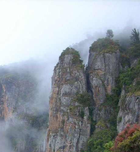kodaikanal srinesh medows